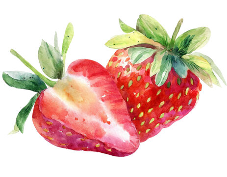 Two watercolor strawberries isolated on white background, PNG file, Strawberry PNG