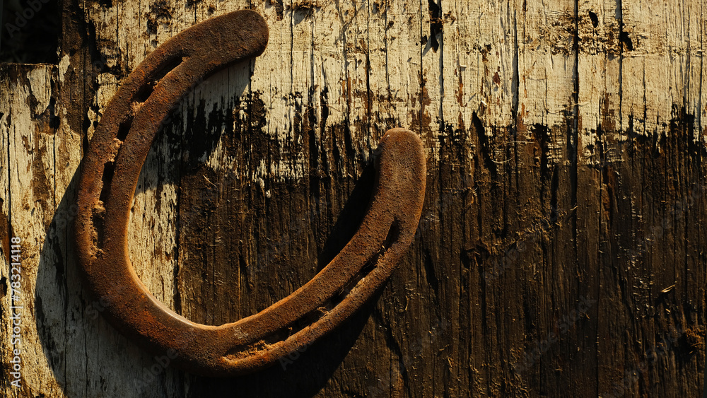 Wall mural old rusted horseshoe with rough wood rustic texture background, copy space for western industry. - Wall murals
