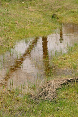 Wet spring season in Texas environment with water puddle in landscape.