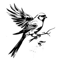 illustration of a bird