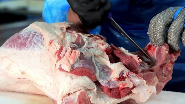 Butcher Trimming Pork Meat with Knife, Close-up of a butcher's hands expertly trimming fat from raw pork.