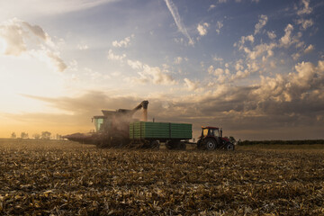 Pouring corn grain into tractor trailer - 783219944