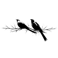 birds on a branch