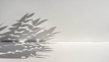 Fondo de color blanco con sombras, recurso gráfico para presentación de productos