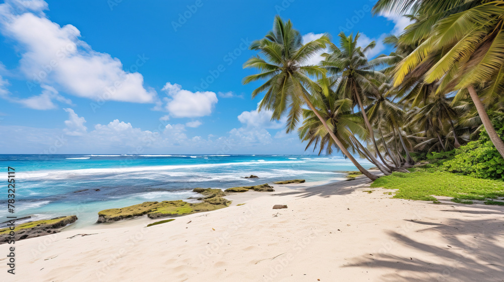 Wall mural beach with trees and sky.