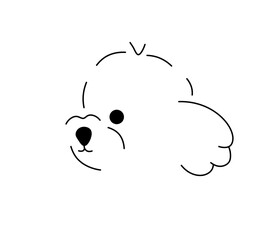 Vector isolated maltese lapdog head face muzzle portrait side view colorless black and white contour line easy drawing