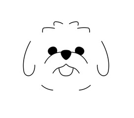 Vector isolated maltese lapdog head face muzzle portrait front view colorless black and white contour line easy drawing