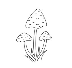 Vector isolated three simple toadstools mushrooms in a grass colorless black and white contour line easy drawing