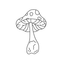 Vector isolated one single simple fly agaric mushroom  colorless black and white contour line easy drawing