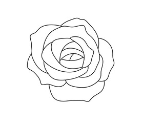 Vector isolated one single simple rose bud flower  colorless black and white contour line easy drawing