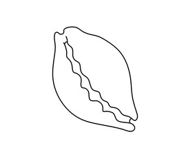Vector isolated one single sea ocean shell colorless black and white contour line easy drawing