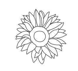 Vector isolated one single simple sunflower flower  colorless black and white contour line easy drawing