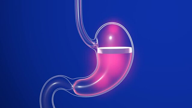 3D animation of stomach with burning. Transparent glass anatomy with moving lights. With reflections on a dark blue background.