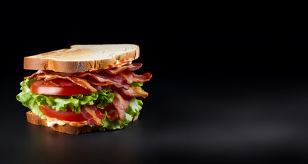 BLT Sandwich isolated on a white background