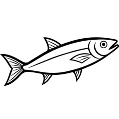 sardine fish isolated on white