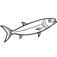 sardine fish isolated on white