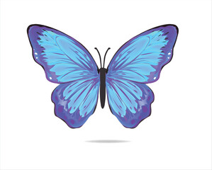 blck mabel m?sl?m butterfly art blue purple.eps