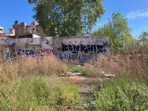 Solar abandonado con paredes de hormig&oacute;n y graffitis. D&iacute;a soleado. Plantas, maleza, piedras, basura.