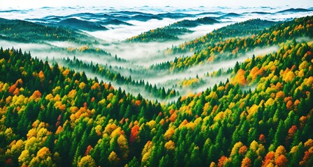 A mountainous landscape with trees in the foreground and fog in the background.