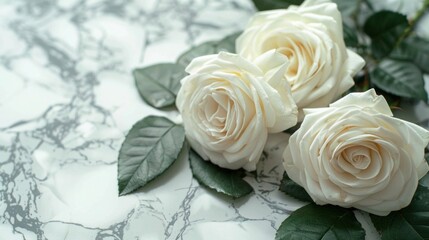 Serene White Rose Bouquet on Marble Background - Funeral Floral Tribute or Cemetery Remembrance Concept