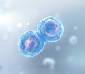cellule d’embryon humain lors de la division cellulaire après fécondation - obrazy, fototapety, plakaty