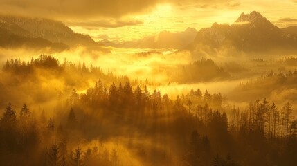 misty mountains at sunrise or sunset
