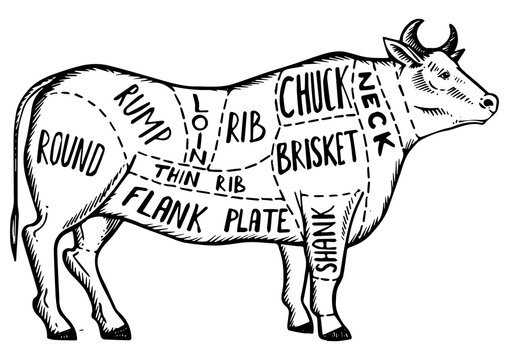 Meat diagram cow engraving PNG illustration. Scratch board style imitation. Black and white hand drawn image.