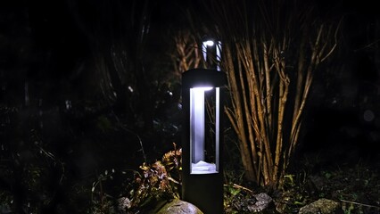 Garden Plants Lit by Solar Powered Reachargeable LED Lamp Glowing with Cold Electric Light at Night