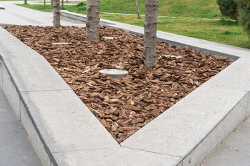 Mulching of tree trunk with bark for park design. Decorative piece mulch strewning on flowerbed....