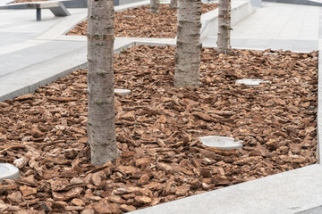 Mulching of tree trunk with bark for park design. Decorative piece mulch strewning on flowerbed....