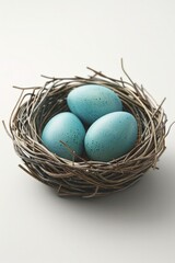 Three blue eggs in a nest on a white surface. Suitable for nature and spring themes