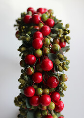 Ornamental Berries On A Branch For Home Decoration Closeup Stock Photo
