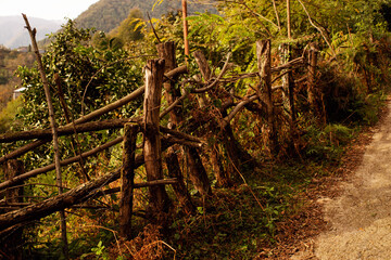 Landscape in the mountains of Georgia. A wooden fence made of tree branches along the road against the backdrop of mountains on a sunny autumn day.