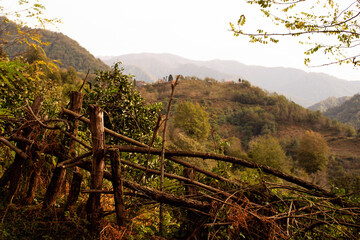 Landscape in the mountains of Georgia. A wooden fence made of tree branches along the road against the backdrop of mountains on a sunny autumn day.