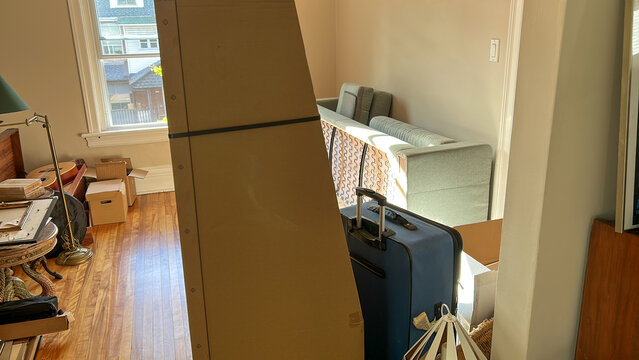 UGC New furniture and boxes in empty apartment