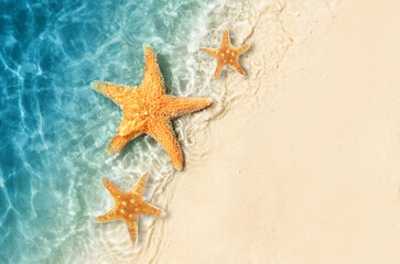 Starfish on the summer beach in sea water. Summer background. - 783271369