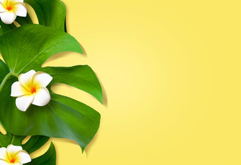 Top view of holiday travel beach with flower plumeria and monstera leaves on yellow background - 783272516