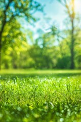 Naklejka premium Grassy field with trees in the background