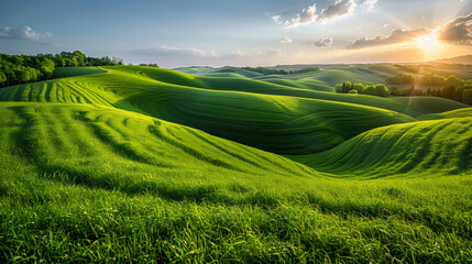 A beautiful green landscape