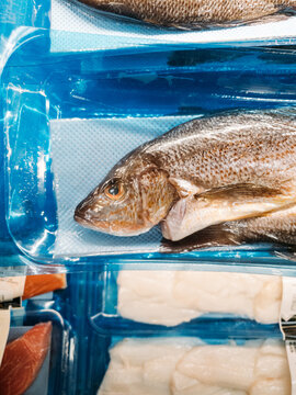 Fish Wrapped in Plastic at Grocery Store
