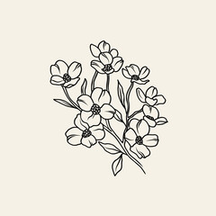 Line art dogwood flower branch illustration