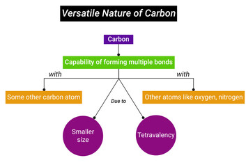 Flowchart for Versatile nature of Carbon
