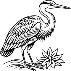 Fototapeta premium coloring-pages-for-children heron