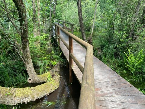 Codroiopo - parco delle risorgive