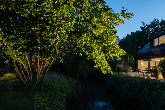 tree and villa at dusk