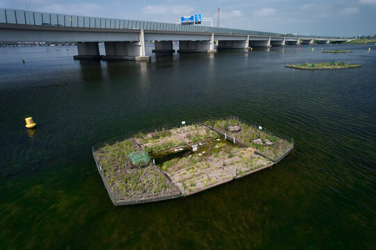 Artificial floating island for nature conservation & refuge, Amsterdam