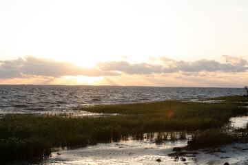Obraz premium The marsh in Wakulla County, Florida