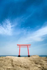 Gordijnen Red torii gate at Shimoda beach, Shizuoka Prefecture, Japan © eyetronic