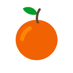 orange fruit illustration