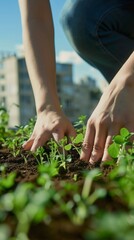 hands nurturing young plants in urban garden with city skyline nurturing the growth of green life